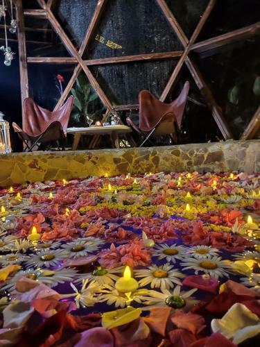 Nacimiento Glamping