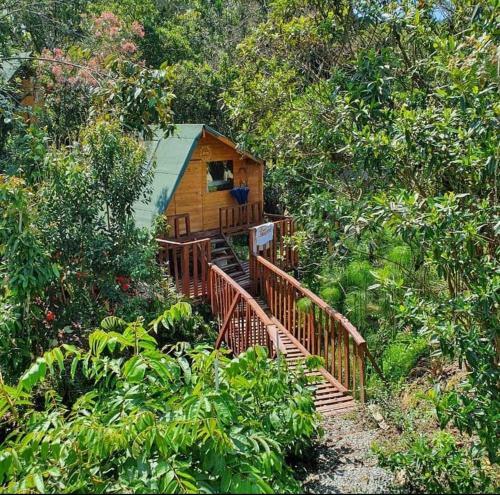 Glamping Pigmali�n Santa Elena
