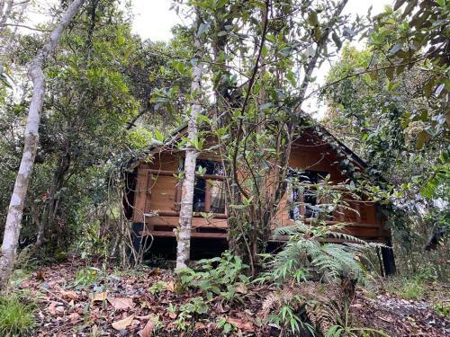 Glamping Pigmali�n Santa Elena