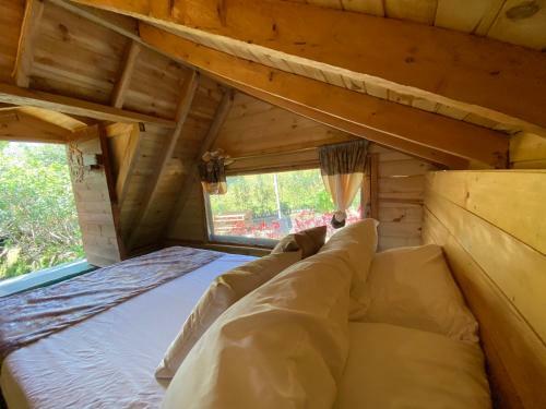Glamping Pigmali�n Santa Elena