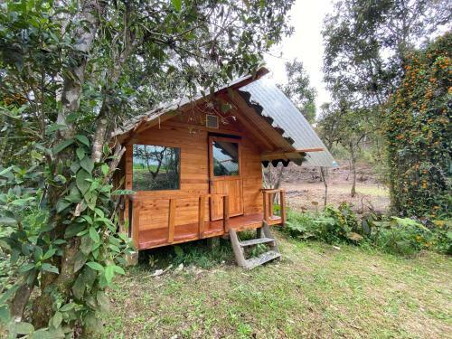 Glamping Pigmali�n Santa Elena