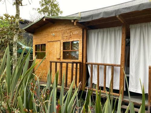 Glamping Pigmali�n Santa Elena