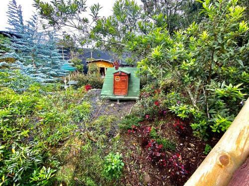Glamping Pigmali�n Santa Elena