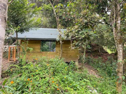 Glamping Pigmali�n Santa Elena