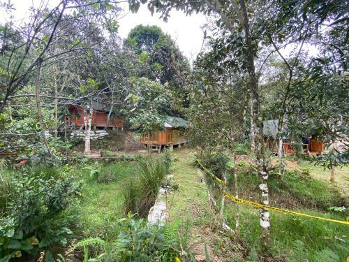 Glamping Pigmali�n Santa Elena
