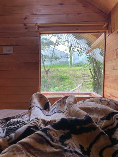 Glamping Pigmali�n Santa Elena