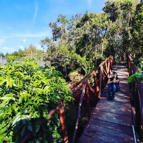 Glamping Pigmali�n Santa Elena
