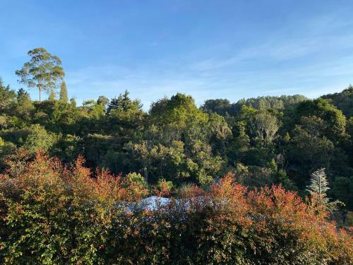 Glamping Pigmali�n Santa Elena