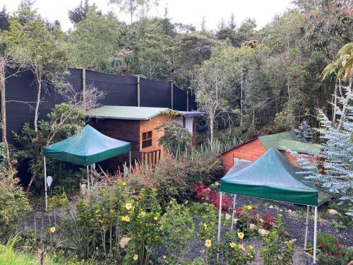 Glamping Pigmali�n Santa Elena
