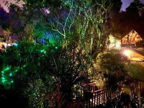Glamping Pigmali�n Santa Elena