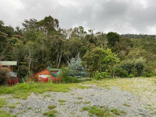 Glamping Pigmali�n Santa Elena