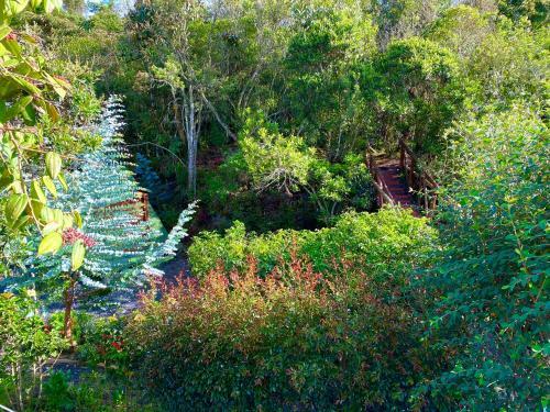 Glamping Pigmali�n Santa Elena