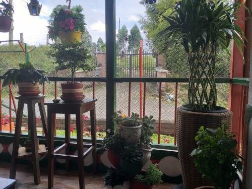 Agroturismo Alojamiento Campestre La Pastora