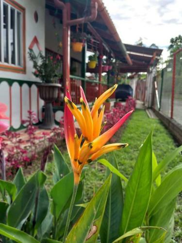 Agroturismo Alojamiento Campestre La Pastora