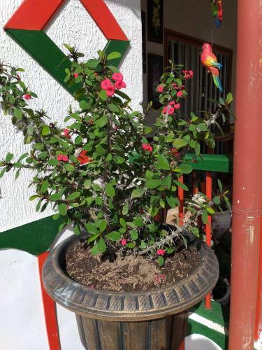 Agroturismo Alojamiento Campestre La Pastora