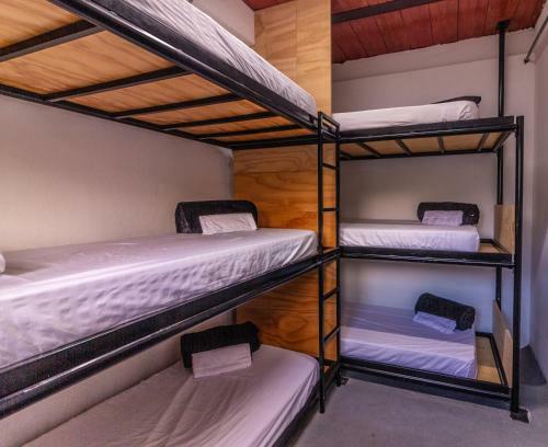 Hostal Real Hostel
