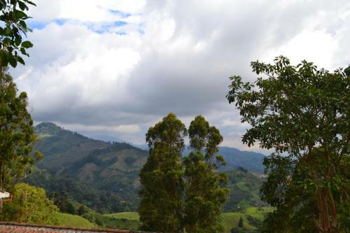 Hotel Natura Cocora