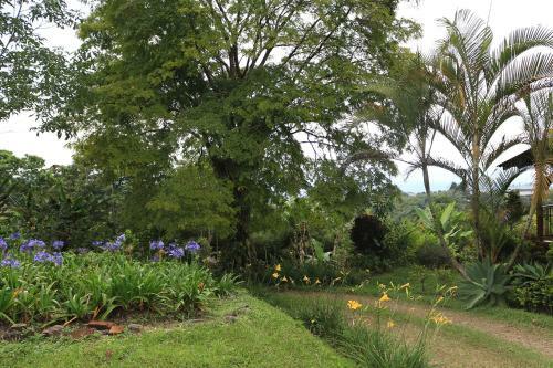 Finca Chalet La Tawa