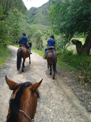 Caba�as El Paraiso Sesquile