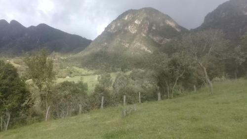 Paraiso 2