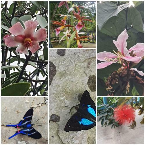 Lodge Finca Jard�n Del Agua