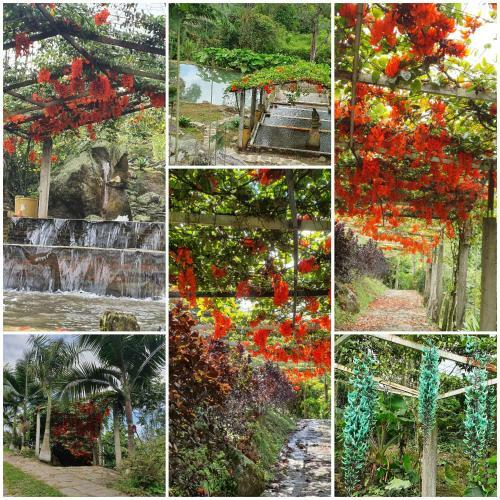 Lodge Finca Jard�n Del Agua