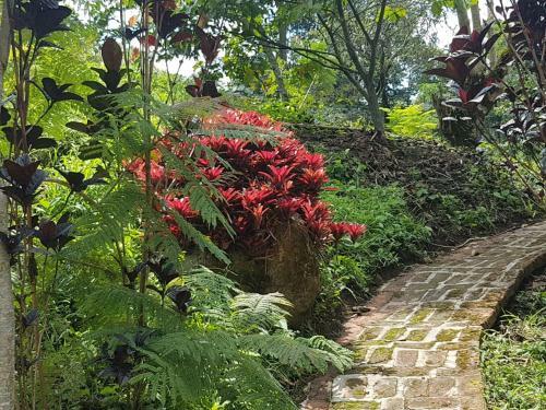 Lodge Finca Jard�n Del Agua