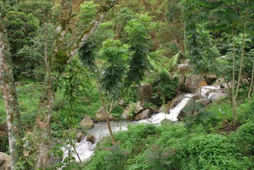 Lodge Finca Jard�n Del Agua