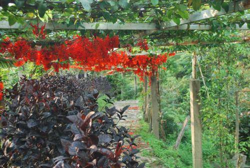 Lodge Finca Jard�n Del Agua