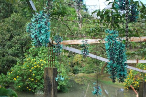 Lodge Finca Jard�n Del Agua