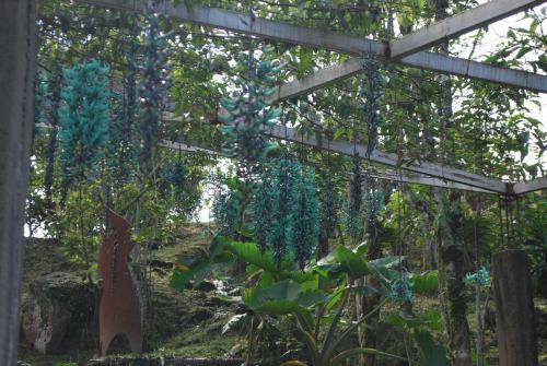 Lodge Finca Jard�n Del Agua