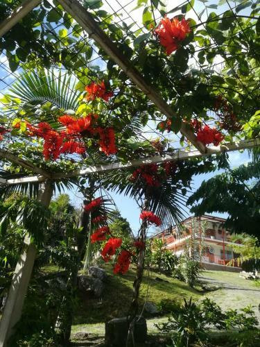 Lodge Finca Jard�n Del Agua