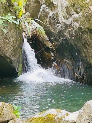 Lodge Finca Jard�n Del Agua