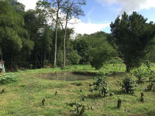 Naturaleza Y Paz, Casa Quinta de Descanso