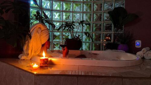 Chal� Master Com Piscina De Borda Infinita