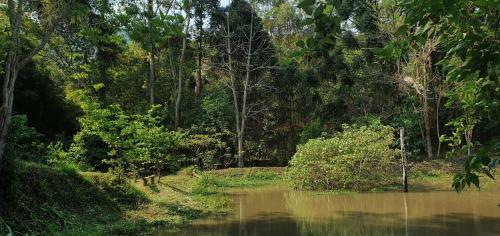 S�tio Paineira, 18km Da Cidade