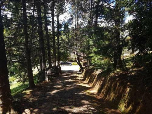S�tio Apari��o, Cunha (km 58)