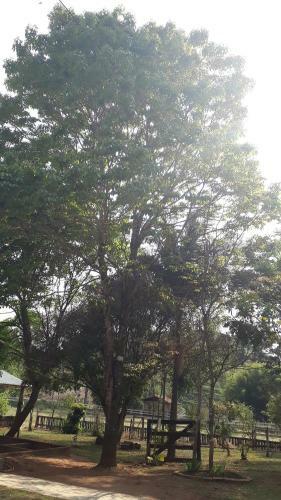 Estalagem Guarani - Casa De Campo