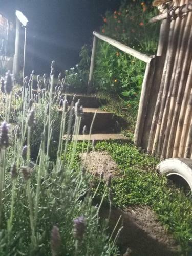 Chal�s Encantos De Cunha Verde