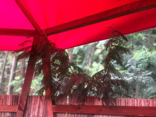 Glamping Con Sentido