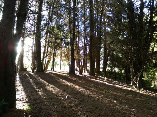 Glamping Con Sentido