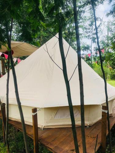 Glamping Con Sentido