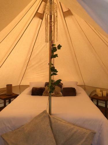 Glamping Con Sentido