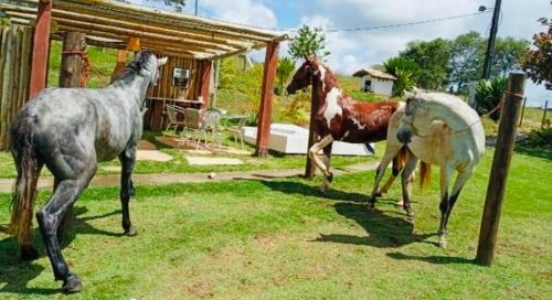 Agroturismo Hotel Fazenda Aldeia