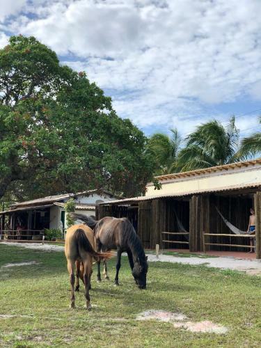 Agroturismo Hotel Fazenda Aldeia