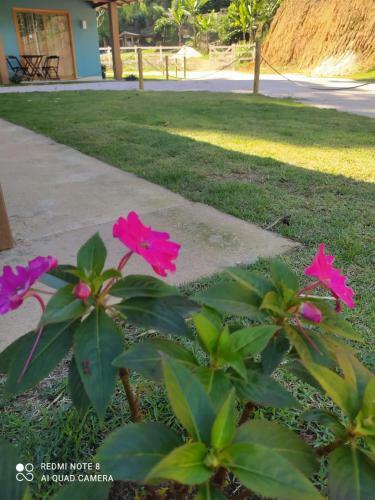 Olanda Chal�s