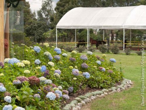 Bed & Breakfast La Isabela Estancia Ecuestre