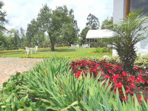 Bed & Breakfast La Isabela Estancia Ecuestre
