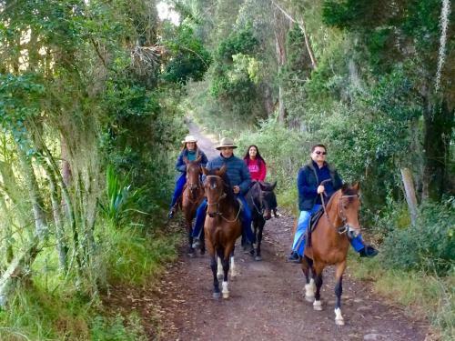 Bed & Breakfast La Isabela Estancia Ecuestre