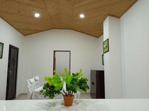 #apartaestudio Campestre El Cerrito